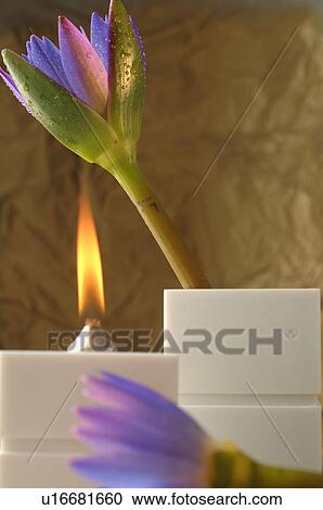 Stock Image - Lotus and perfumed candle. Fotosearch