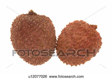 Lychee View Large Photo Image Stock Photograph - Lychee. Fotosearch