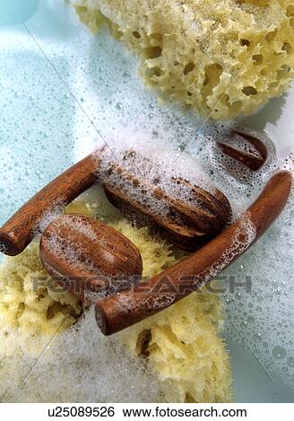 Massage roller and natural sponges View Large Photo Image Stock Photograph - Massage roller and natural sponges. Fotosearch