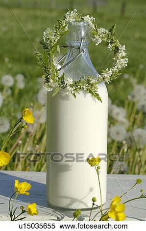 Milk bottle and flower arrangement View Large Photo Image Stock Photography - Milk bottle and flower arrangement. Fotosearch