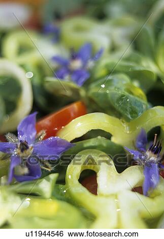 mixed salad View Large Photo Image Stock Photograph - mixed salad. Fotosearch