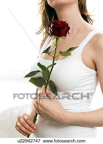 Model holding a white rose View Large Photo Image Stock Photo - Model holding a white rose. Fotosearch