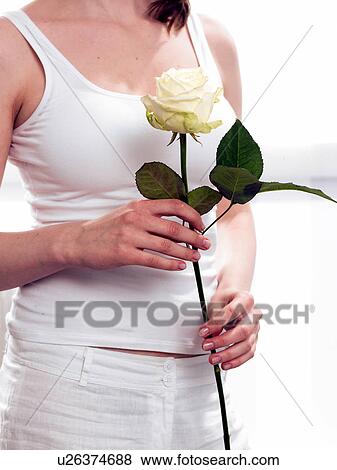 Stock Photo - Model holding a white rose. Fotosearch