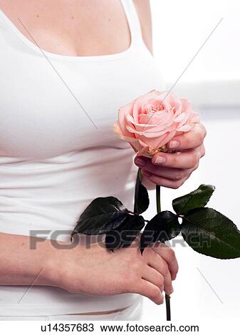 Model holding pink rose View Large Photo Image Stock Image - Model holding pink rose. Fotosearch