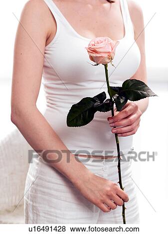 Stock Photo - Model holding pink rose. Fotosearch