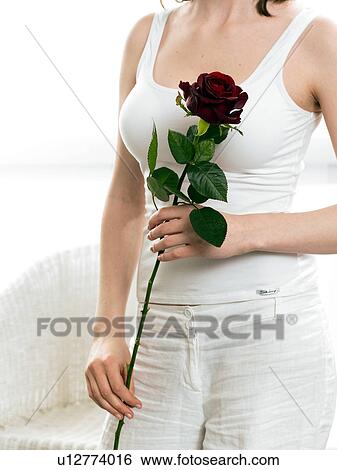 Model holding red rose View Large Photo Image Stock Photograph - Model holding red rose. Fotosearch