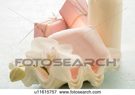 Mussel soap dish with orchid blossom View Large Photo Image Stock Photo - Mussel soap dish with orchid blossom. Fotosearch