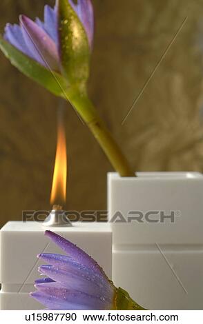 Stock Image - Oil lamp and blue blossoms. Fotosearch