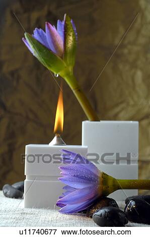 Stock Photo - Oil lamp and blue blossoms. Fotosearch