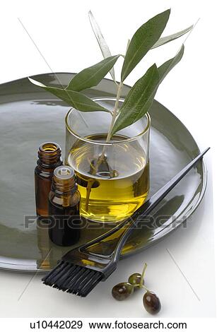 Olive oil pack for hair View Large Photo Image Stock Photo - Olive oil pack for hair. Fotosearch