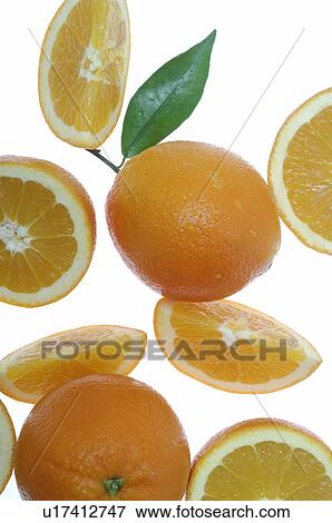 Stock Photo - Oranges. Fotosearch