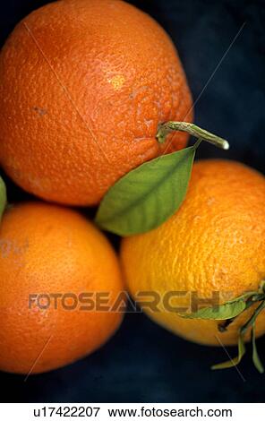 Oranges View Large Photo Image Stock Photo - Oranges. Fotosearch
