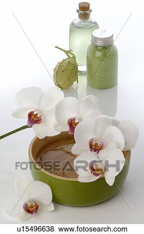 Orchid application View Large Photo Image Stock Photo - Orchid application. Fotosearch