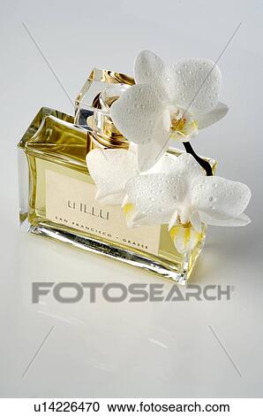 Stock Image - Orchid bloom and perfume. Fotosearch