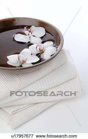 Stock Photo - Orchid blooms in bowl of water. Fotosearch