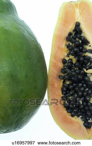 Stock Photo - Papaya. Fotosearch