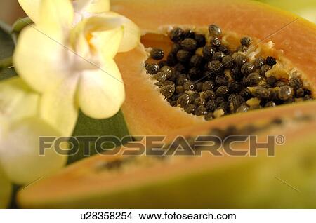 Picture - Papayas. Fotosearch