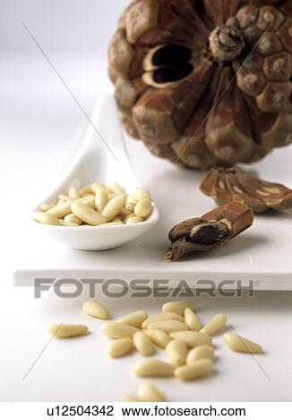 Stock Image - Pignolias (with pine cone) - Pinus parviflora. Fotosearch