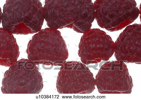 Raspberry View Large Photo Image Stock Image - Raspberry. Fotosearch