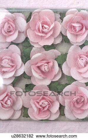 Stock Image - Rosa Blüten. Fotosearch