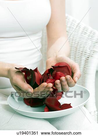 Stock Image - Rose petals in a bowl. Fotosearch