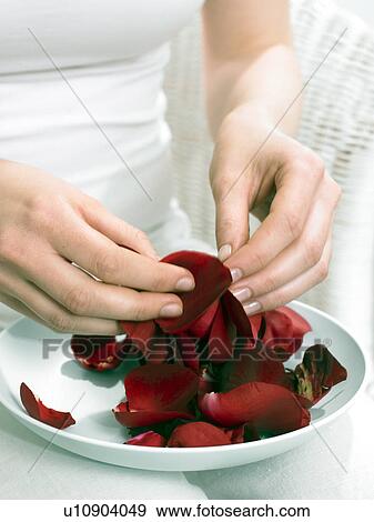 Stock Photo - Rose petals in a bowl. Fotosearch