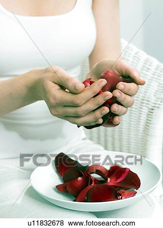 Stock Photo - Rose petals in a bowl. Fotosearch