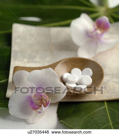 Schüßler tablets and orchid blooms View Large Photo Image Stock Photograph - Schüßler tablets and orchid blooms. Fotosearch
