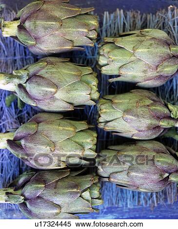 Stock Photography - seven artichoke. Fotosearch