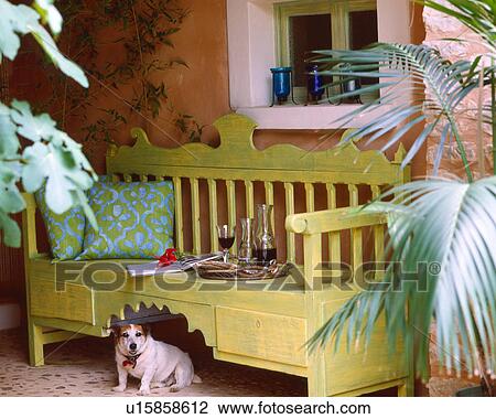 Stock Image - shady place with dog. Fotosearch