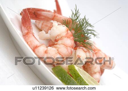 Stock Photograph - Shrimps. Fotosearch