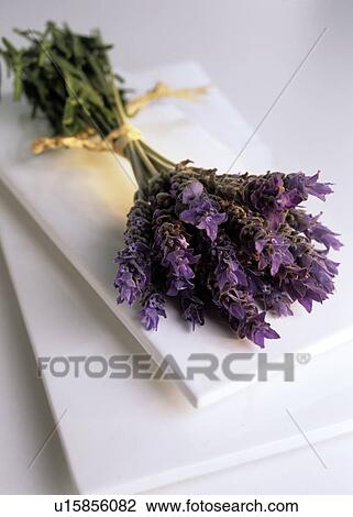 Stock Image - Small lavender bouquet (Lavandula angustifolia). Fotosearch