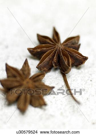 Star-anise View Large Photo Image Picture - Star-anise. Fotosearch