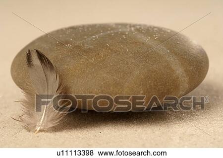 Stock Photo - Stone and feather in the sand. Fotosearch