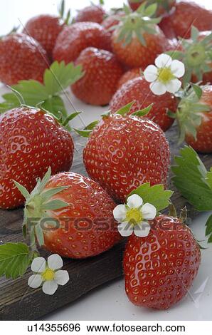 Stock Photograph - Strawberries and blooms. Fotosearch