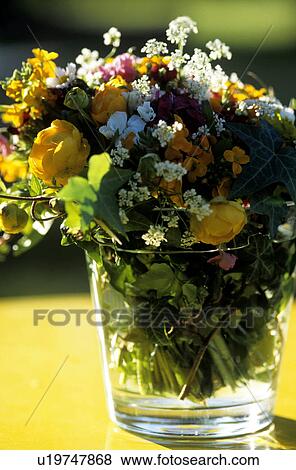 Stock Photo - Summery bouquet. Fotosearch