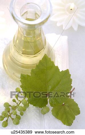 Traubenkernöl aus wießen Trauben in einer Karaffe mit Kerze und Traubenblatt View Large Photo Image Stock Photo - Traubenkernöl aus wießen Trauben in einer Karaffe mit Kerze und Traubenblatt. Fotosearch