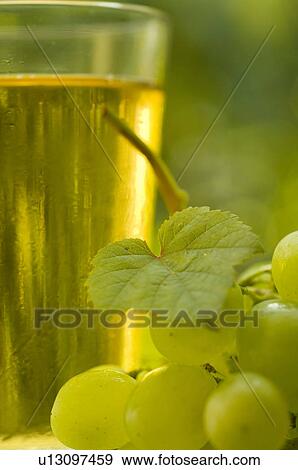 Traubensaft im Glas View Large Photo Image Stock Photo - Traubensaft im Glas. Fotosearch
