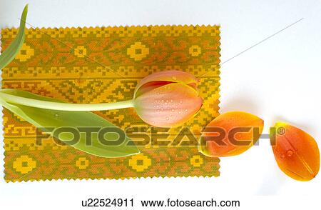 Stock Image - Tulips. Fotosearch
