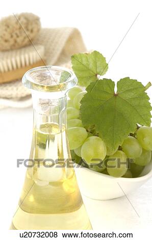 Stock Photo - Weintrauben und Traubenkernöl. Fotosearch