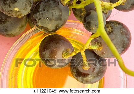 Stock Photography - Weintrauben und Traubenkernöl. Fotosearch