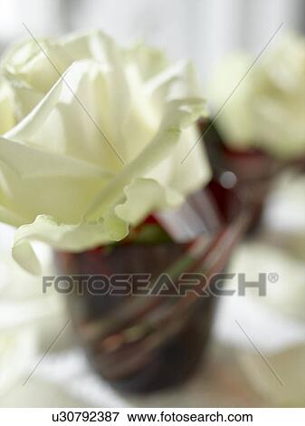 Stock Photo - Weiße Rosenblüte in roten Gläsern. Fotosearch