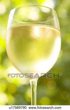 Weißwein im Weinglaß View Large Photo Image Stock Image - Weißwein im Weinglaß. Fotosearch