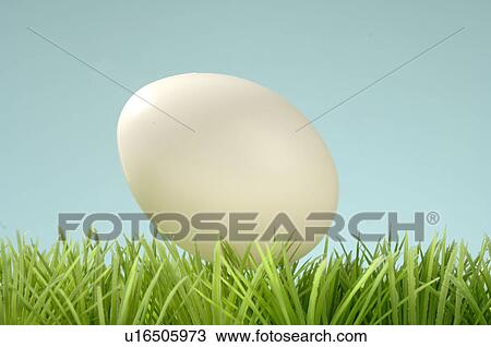 White egg on green plastic grass View Large Photo Image Stock Image - White egg on green plastic grass. Fotosearch
