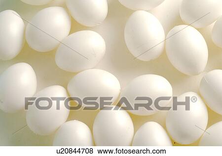 Stock Photo - White eggs. Fotosearch