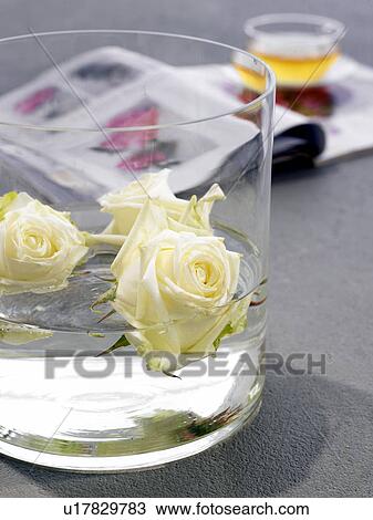 White rose blossoms swimming in a glass container View Large Photo Image Stock Image - White rose blossoms swimming in a glass container. Fotosearch