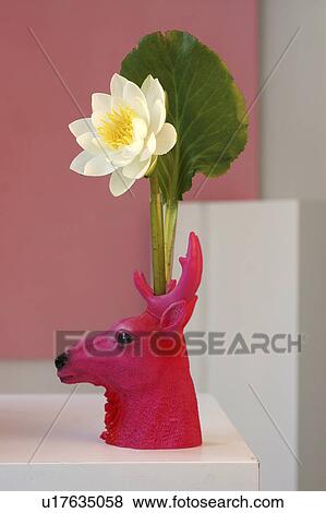 Stock Photo - White water lily in pink coloured deer-shaped vase. Fotosearch