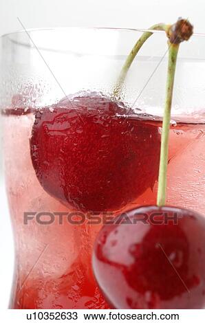 Wild Cherry View Large Photo Image Stock Image - Wild Cherry. Fotosearch