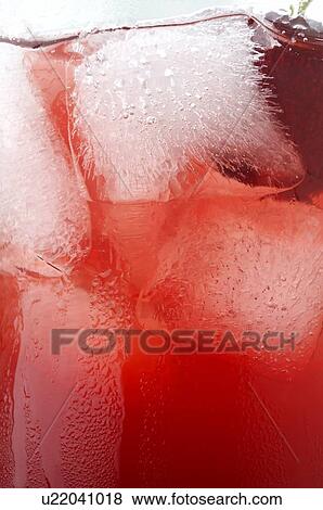 Stock Photo - Wild Cherry. Fotosearch