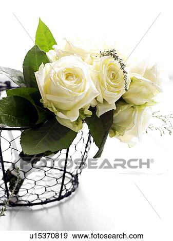 Withe roses in a iron basket View Large Photo Image Stock Photo - Withe roses in a iron basket. Fotosearch
